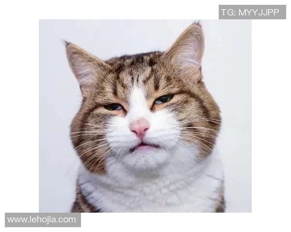 迪拜足球明星搞笑名字大揭秘让你捧腹大笑的奇趣组合