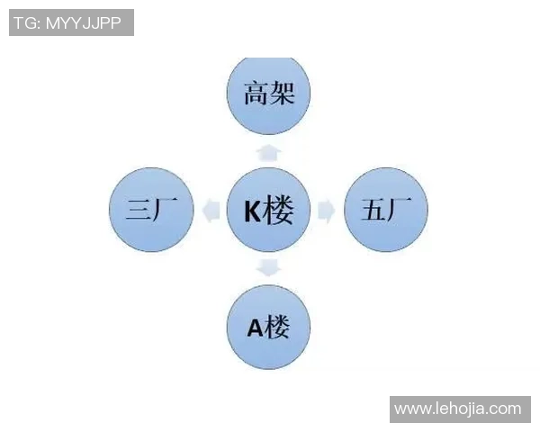 独家分析：南京攀岩队的团队协作对比
